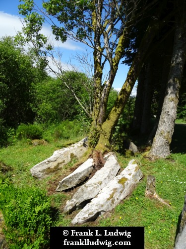 Cavan Burren